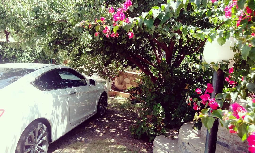 Sadeem Village & Chalet Ash Shafā Exterior foto