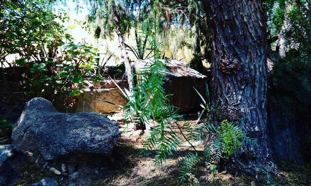 Sadeem Village & Chalet Ash Shafā Exterior foto